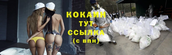 индика Алексин
