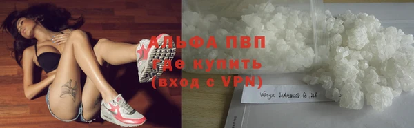спиды Алзамай