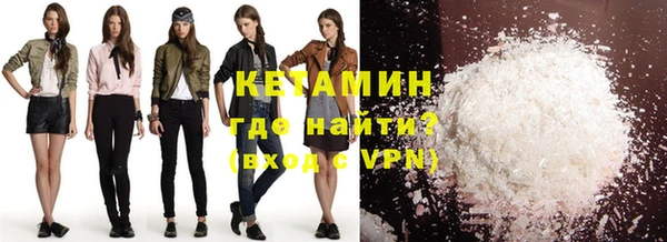 индика Алексин