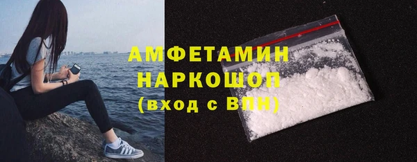 индика Алексин