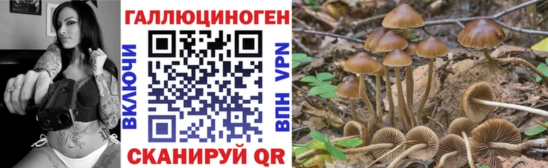 продажа наркотиков  Алексин  Галлюциногенные грибы Cubensis 