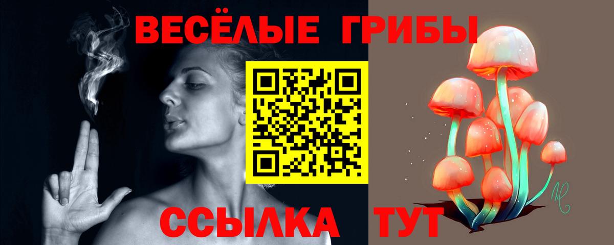 Алексин  Галлюциногенные грибы Magic Shrooms  Вход с VPN 